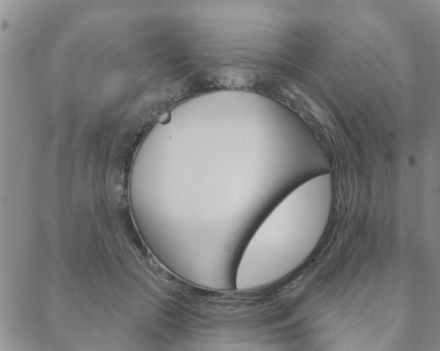 X0000088590553200705250806