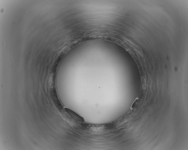 X0000088590560200705250806