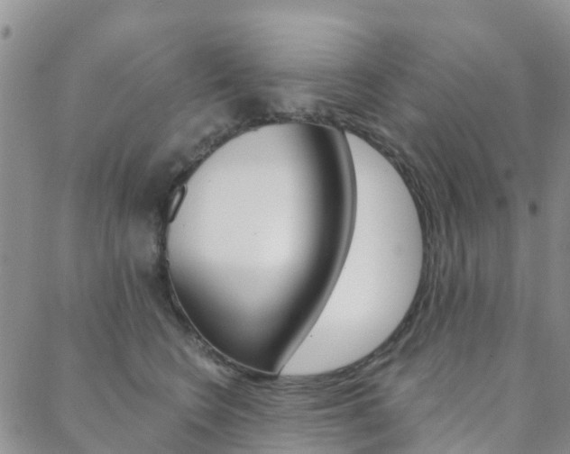 X0000088590566200705250806