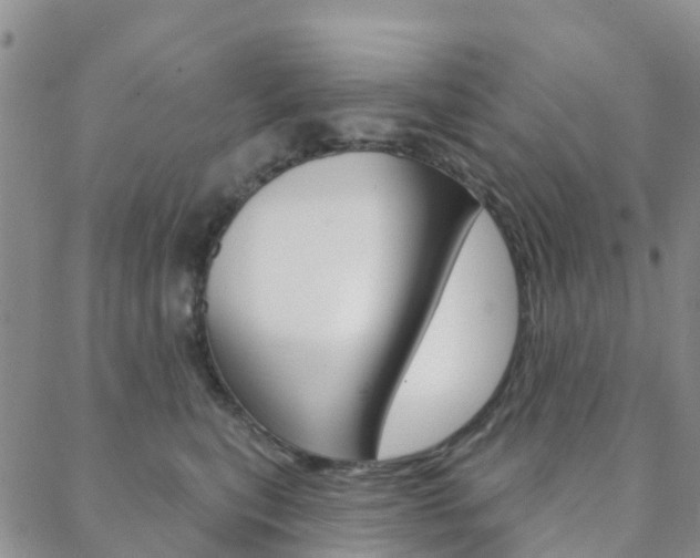 X0000088590567200705250806