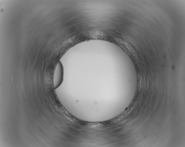 X0000088590569200705250806