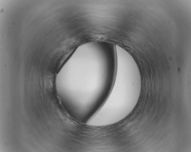 X0000088590570200705250806