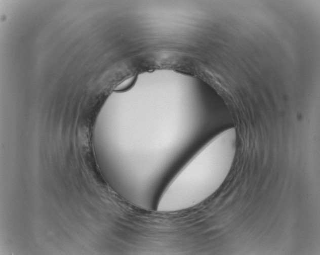 X0000088590571200705250806