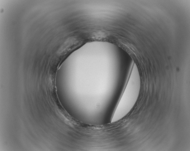 X0000088590572200705250806