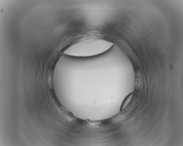 X0000088590573200705250806