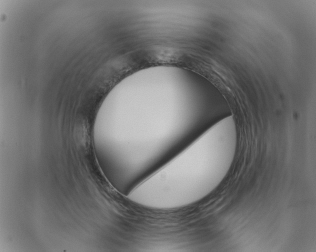 X0000088590651200705250804