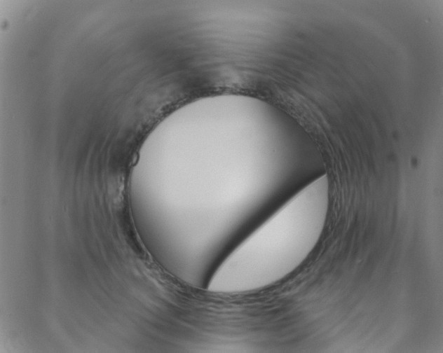 X0000088590660200705250804