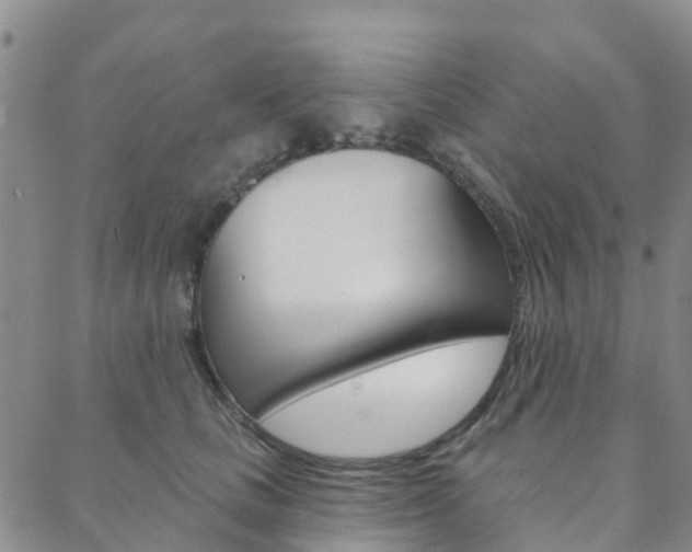 X0000088590661200705250804