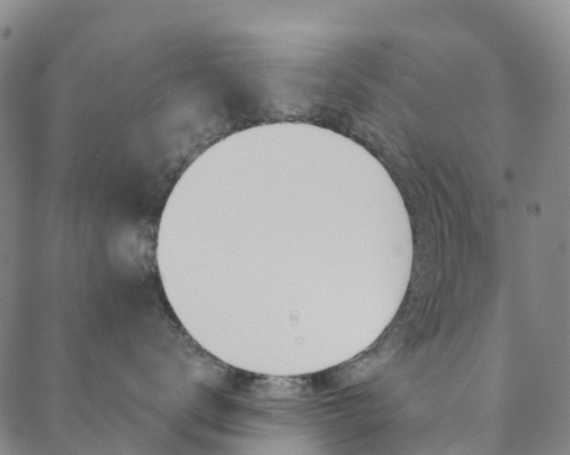 X0000088590672200705250805