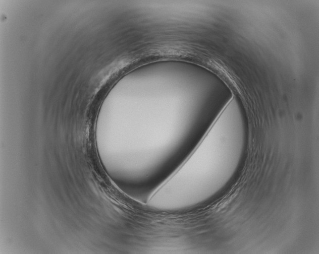 X0000088590723200705250802