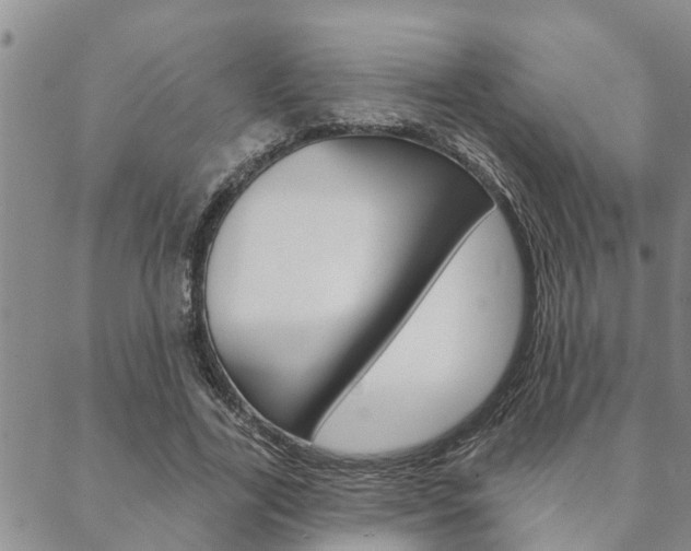 X0000088590731200705250803