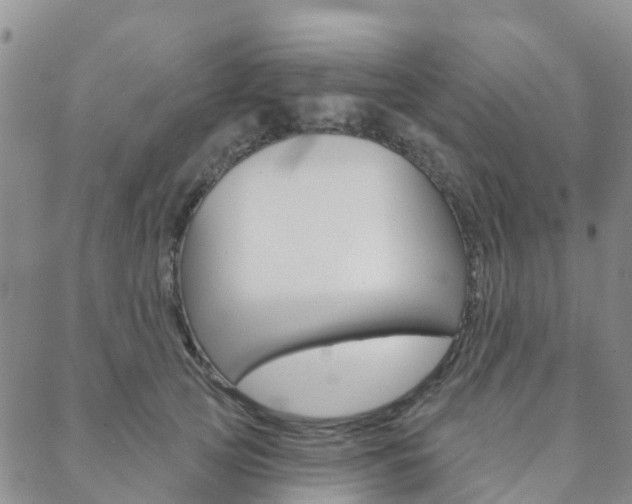 X0000088590753200705250803