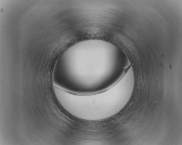X0000088590756200705250803