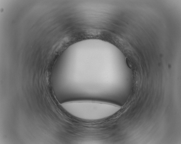 X0000088590758200705250803