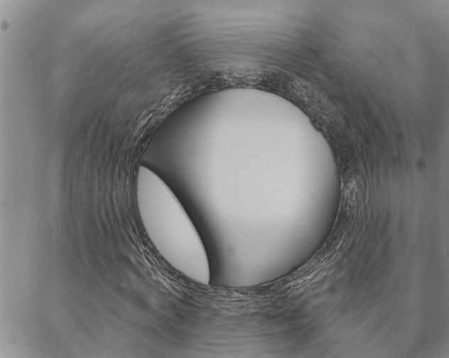 X0000088590772200705250802