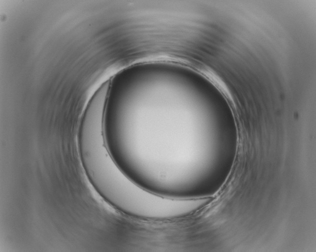 X0000088590813200705250802