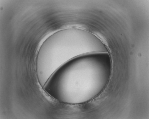 X0000088590816200705250802
