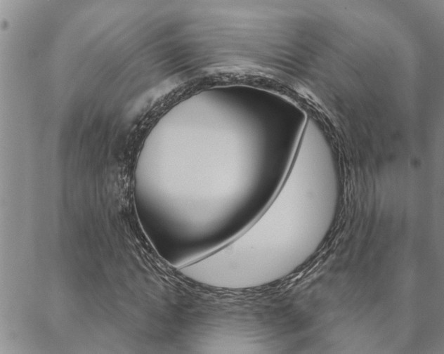 X0000088590822200705250801