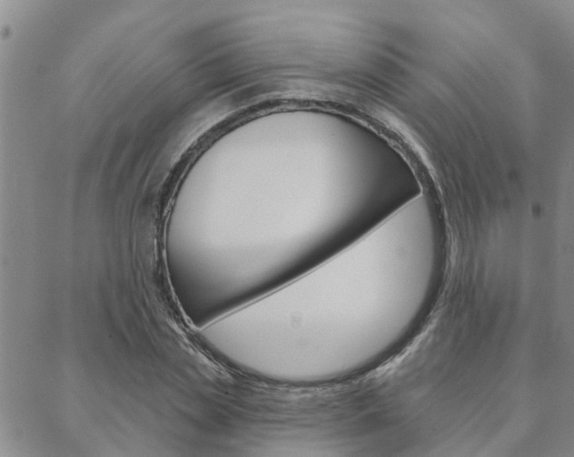 X0000088590829200705250801