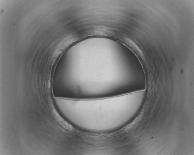 X0000088590938200705250800