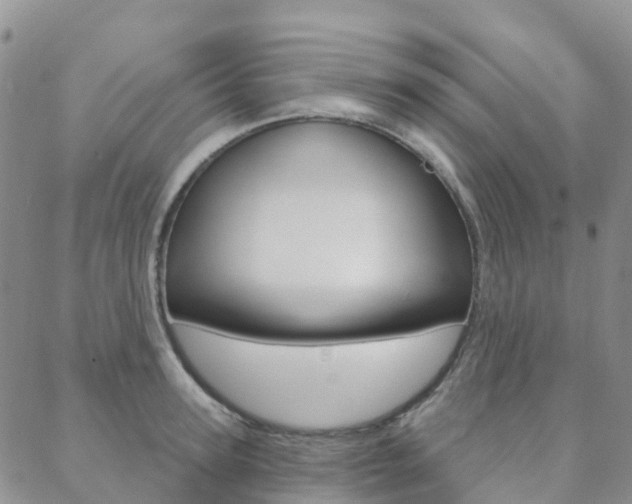 X0000088590947200705250800