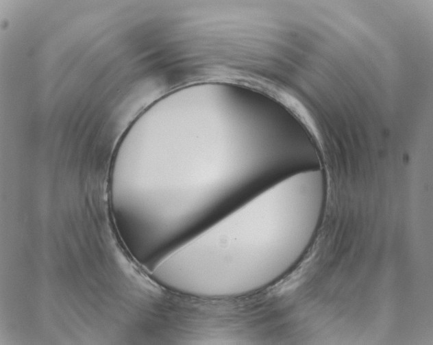 X0000088590954200705250800