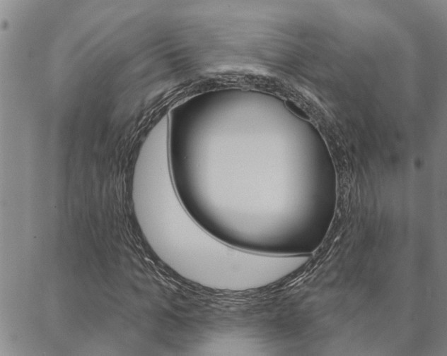 X0000088590965200705250759