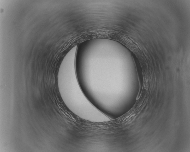 X0000088591010200705250758