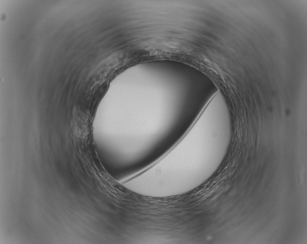 X0000088591012200705250758