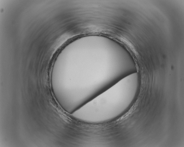 X0000088591023200705250758