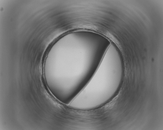 X0000088591028200705250758