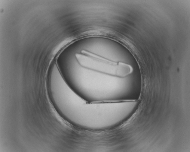 X0000088591034200705250758