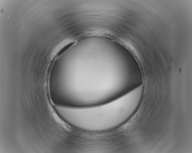 X0000088591042200705250758