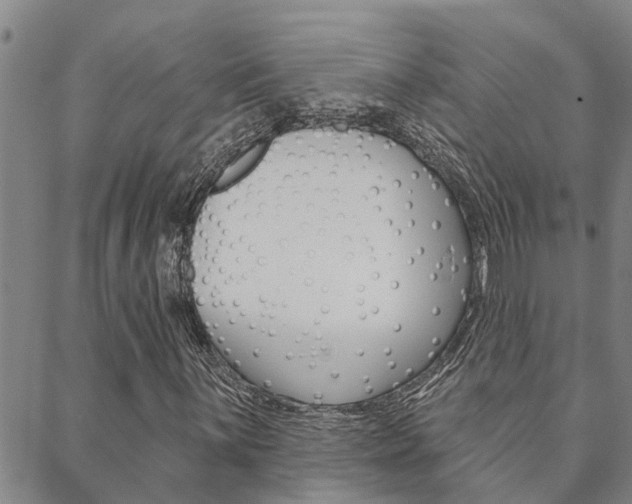 X0000088591059200705250758