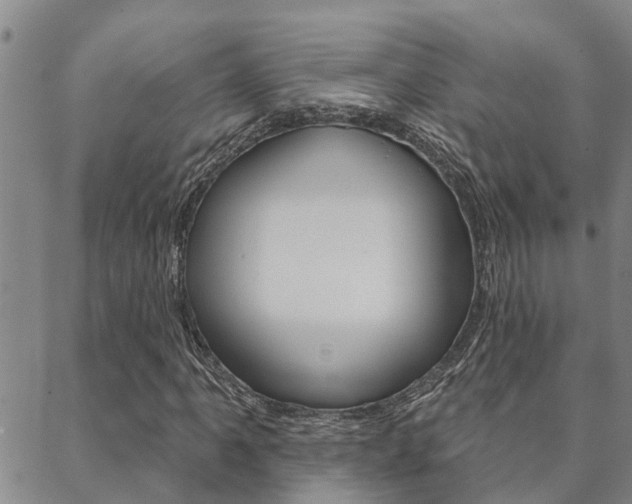 X0000088591061200705250758
