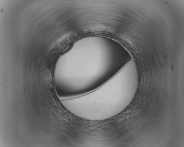 X0000088591062200705250758
