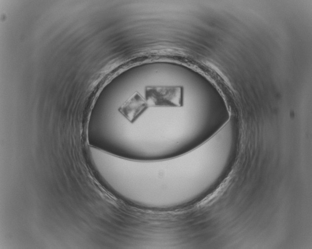 X0000088591065200705250758