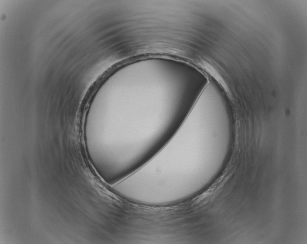 X0000088591068200705250757