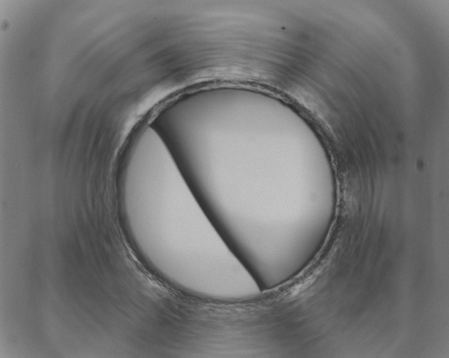 X0000088591070200705250757