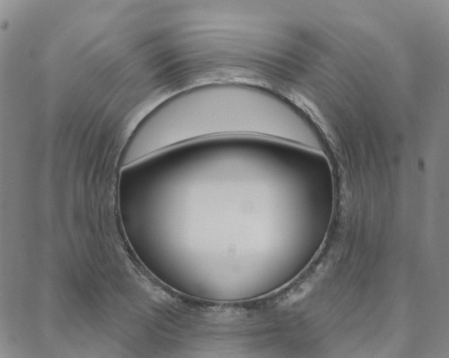 X0000088591081200705250757
