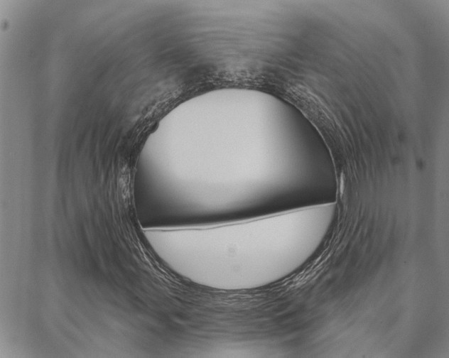X0000088591107200705250756