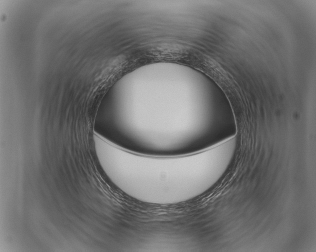 X0000088591108200705250756