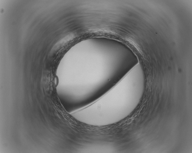 X0000088591111200705250756