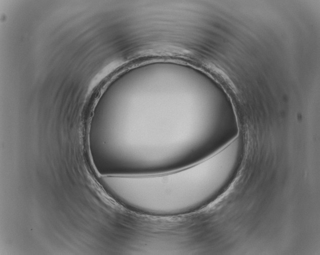 X0000088591114200705250756