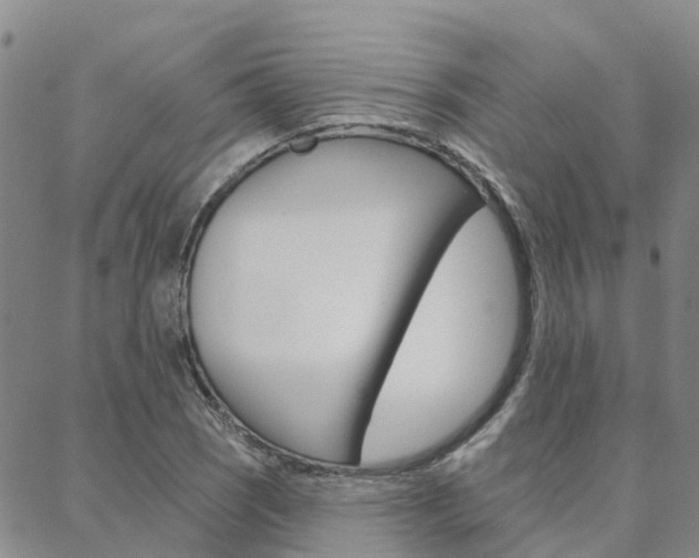 X0000088591121200705250756