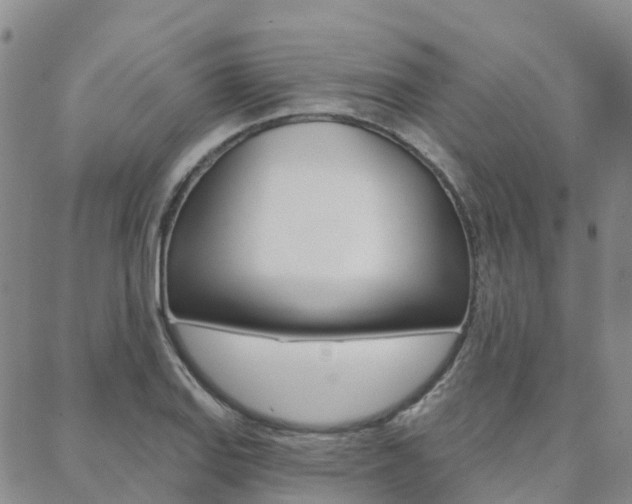 X0000088591127200705250756