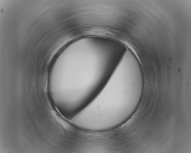 X0000088591131200705250757