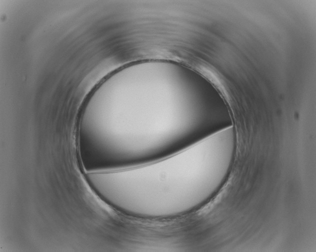X0000088591141200705250757
