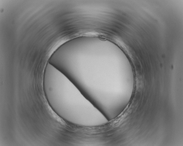 X0000088591194200705250755