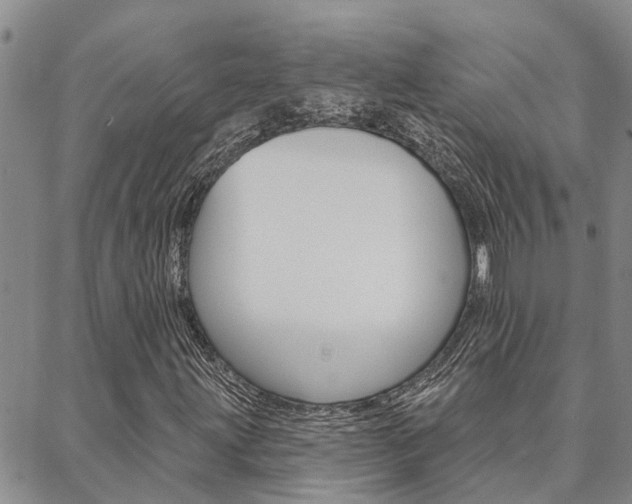 X0000088591203200705250755